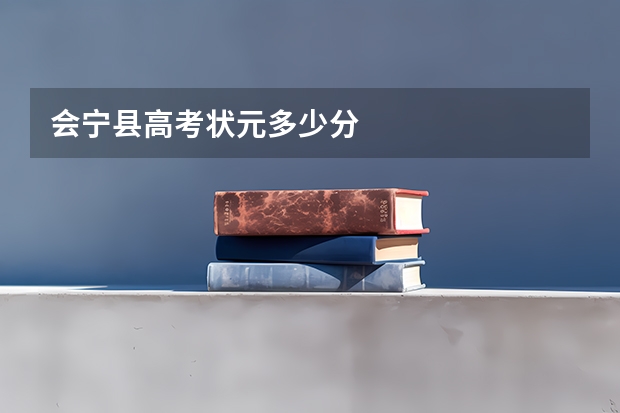 会宁县高考状元多少分