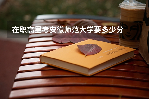 在职高里考安徽师范大学要多少分