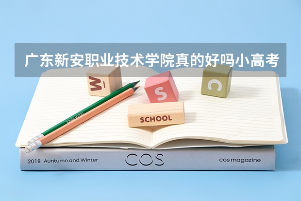 广东新安职业技术学院真的好吗小高考没考好,想选珠三角地